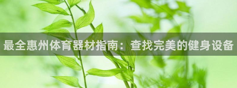 新城天下是不是复仇的意思：最全惠州体育器材指南：查找
