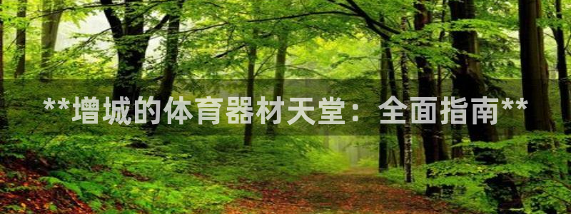 新城平台代理怎么做：**增城的体育器材天堂：全面指南