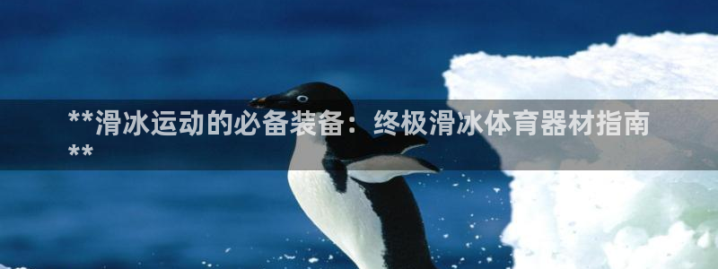 新城平台寇 5O6917 新城：**滑冰运动的必备装