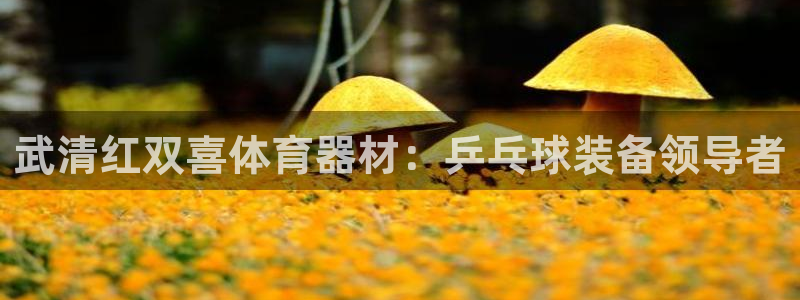 新城成语：武清红双喜体育器材：乒乓球装备领导者