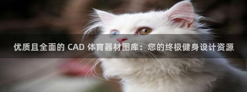 新城平台卜6.7.5.1.3.8：优质且全面的 CA