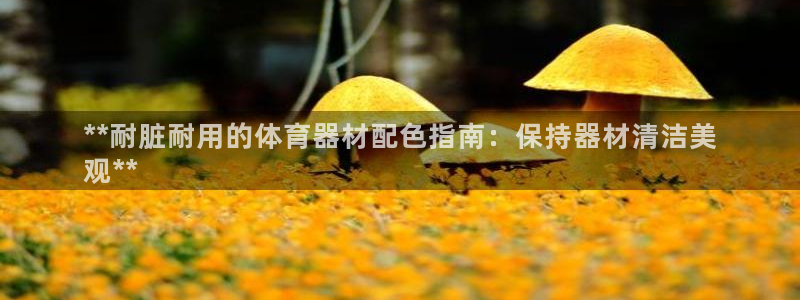 新城娱乐老板是谁：**耐脏耐用的体育器材配色指南：保