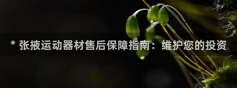 新城挑战第三关怎么打：* 张掖运动器材售后保障指南：