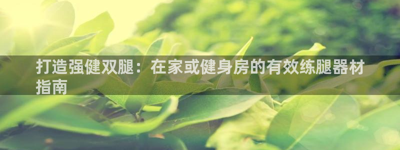 新城集团董事长：打造强健双腿：在家或健身房的有效练腿