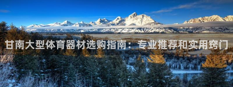 新城娱乐返点多少钱：甘南大型体育器材选购指南：专业推
