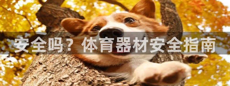 新城天下的微信名字好吗：安全吗？体育器材安全指南