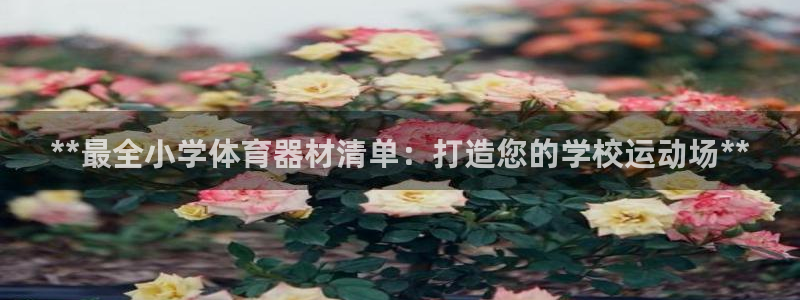 新城集团公益：**最全小学体育器材清单：打造您的学校