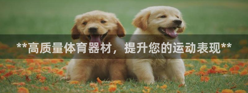 新城集团董事长抖音是谁：**高质量体育器材，提升您的
