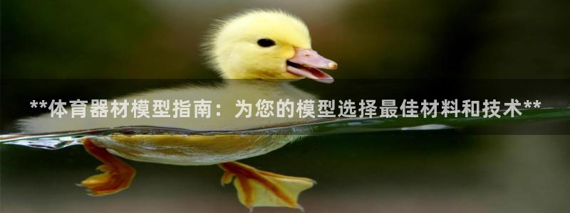 新城平台告7O777：**体育器材模型指南：为您的模