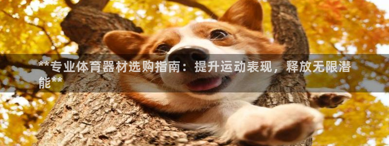 新城娱乐登录注册：**专业体育器材选购指南：提升运动