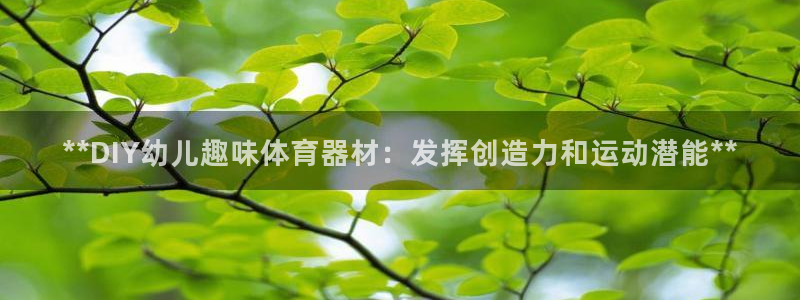 新城娱乐：**DIY幼儿趣味体育器材：发挥创造力和运