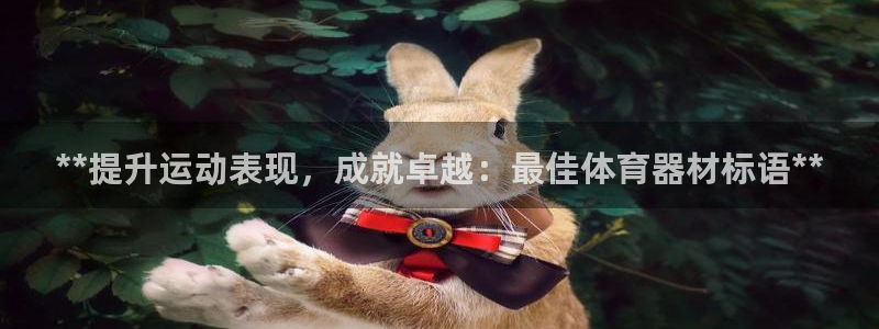 新城微光下载：**提升运动表现，成就卓越：最佳体育器