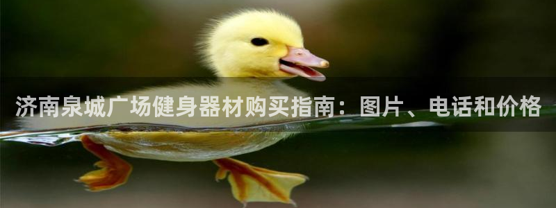 新城娱乐官网首页登录不了：济南泉城广场健身器材购买指