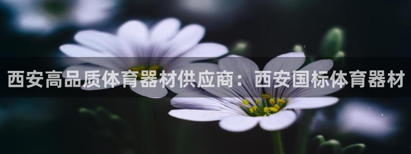 新城娱乐软件下载：西安高品质体育器材供应商：西安国标