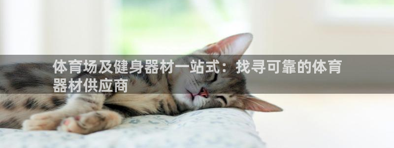 新城娱乐登录地址在哪看：体育场及健身器材一站式：找寻