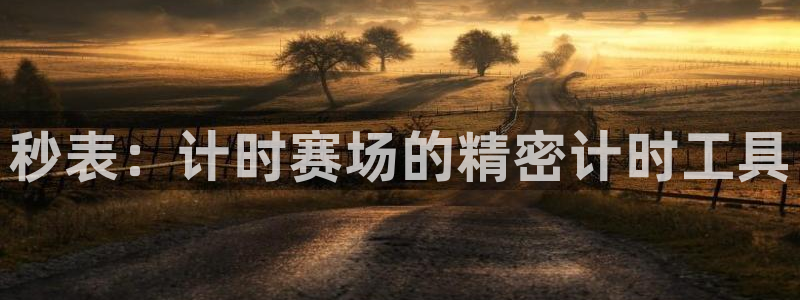 新城娱乐是什么平台：秒表：计时赛场的精密计时工具