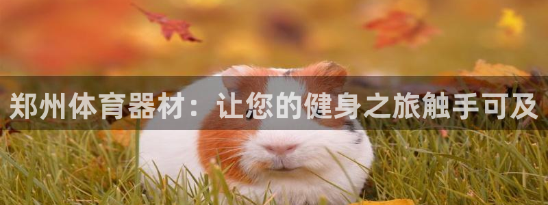 新城娱乐官网首页登录：郑州体育器材：让您的健身之旅触