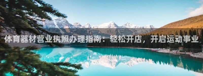 新城三国官网：体育器材营业执照办理指南：轻松开店，开