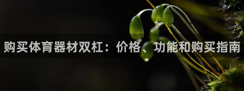 新城平台招商：购买体育器材双杠：价格、功能和购买指南