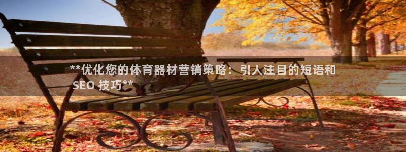 新城登场一样的词：**优化您的体育器材营销策略：引人
