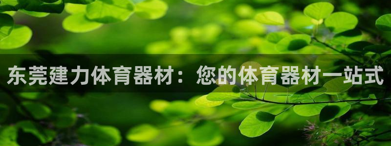 新城娱乐可以玩吗