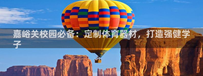 新城娱乐注册官网入口：嘉峪关校园必备：定制体育器材，