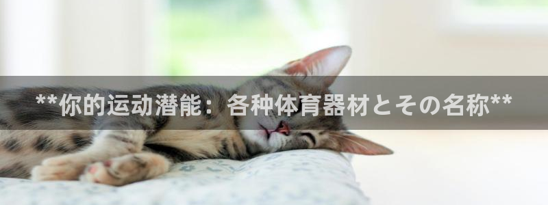 新城辉煌：**你的运动潜能：各种体育器材とその名称*