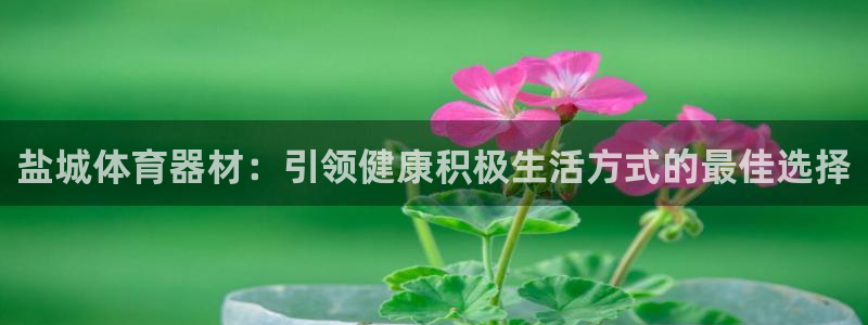 新城娱乐安全吗：盐城体育器材：引领健康积极生活方式的