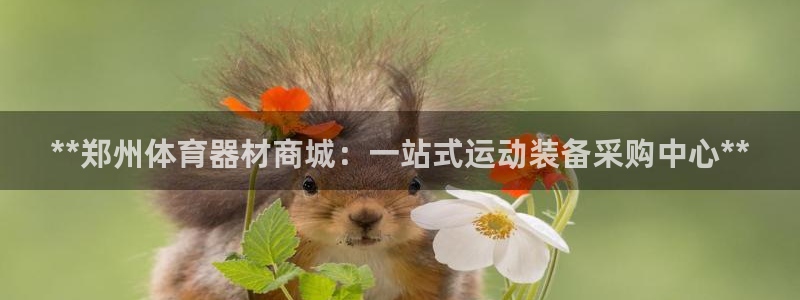 新城来袭什么意思：**郑州体育器材商城：一站式运动装