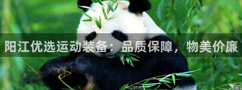 新城登场的图片：阳江优选运动装备：品质保障，物美价廉