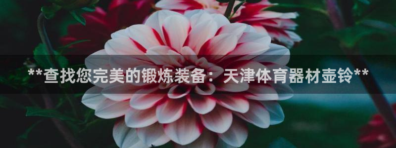 新城平台负责人怎么样：**查找您完美的锻炼装备：天津