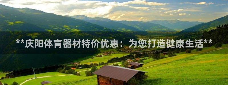 新城娱乐官方网站下载：**庆阳体育器材特价优惠：为您