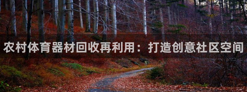 新城集团罗文斌：农村体育器材回收再利用：打造创意社区