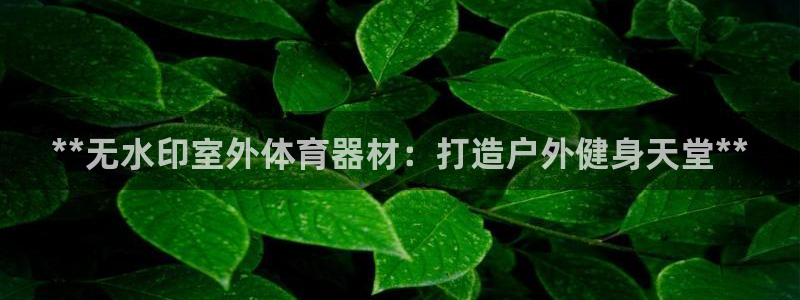 新城平台app下载：**无水印室外体育器材：打造户外