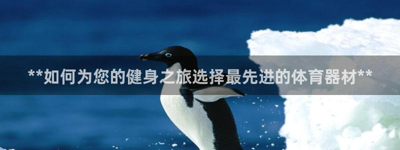 新城幻主：**如何为您的健身之旅选择最先进的体育器材