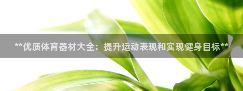 新城平台合作 585.34I 平台：**优质体育器材大全：提