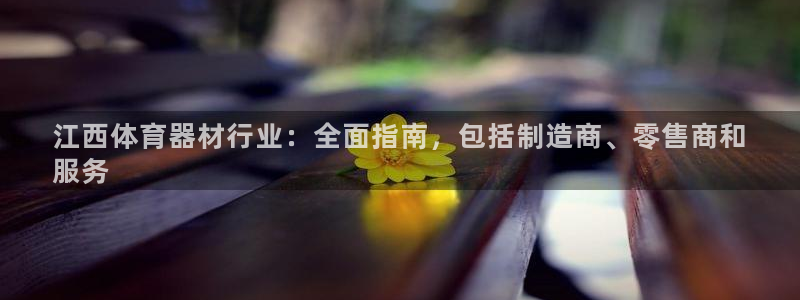 新城平台网址：江西体育器材行业：全面指南，包括制造商
