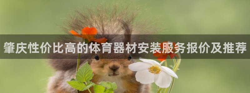 新城娱乐如何登录平台账号：肇庆性价比高的体育器材安装