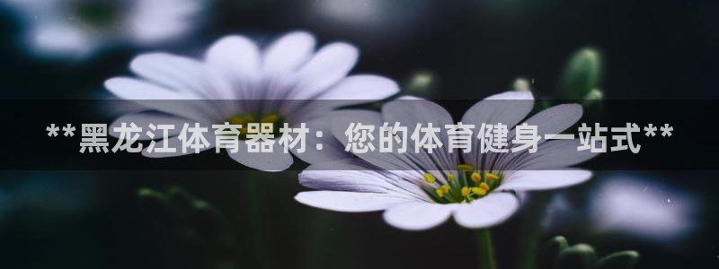 新城微光mp3下载：**黑龙江体育器材：您的体育健身