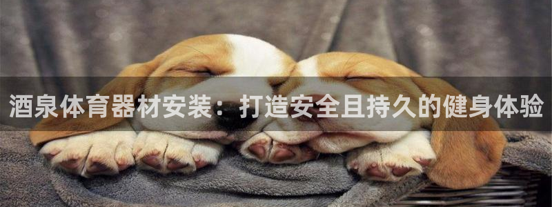 新城娱乐能提现吗现在怎么样：酒泉体育器材安装：打造安