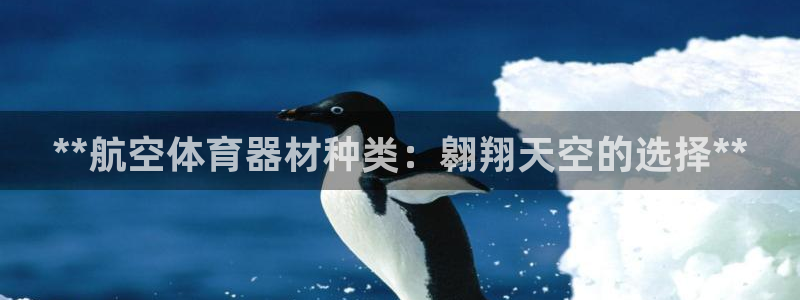 新城平台告7O777：**航空体育器材种类：翱翔天空
