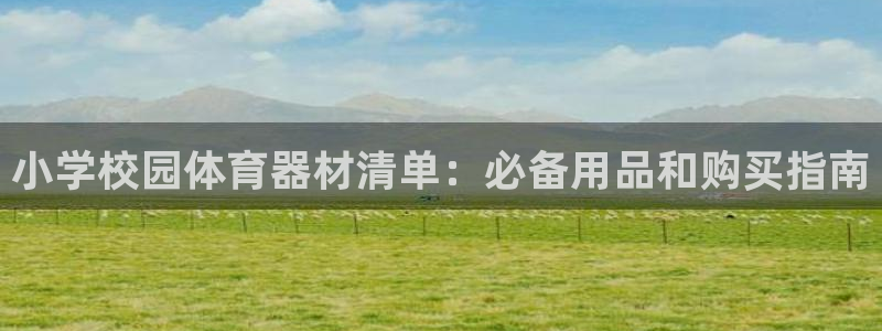 新城辉煌：小学校园体育器材清单：必备用品和购买指南