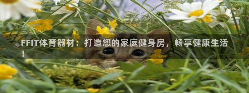 新城三国官网：FFIT体育器材：打造您的家庭健身房，