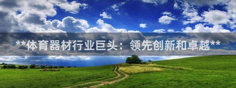 新城平台网址：**体育器材行业巨头：领先创新和卓越*