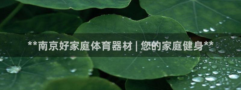 新城娱乐建3.3.4.8.2 主管：**南京好家庭体