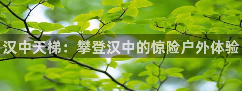 新城集团是什么电影院：汉中天梯：攀登汉中的惊险户外体