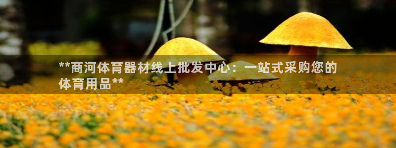 新城登场的意思：**商河体育器材线上批发中心：一站式