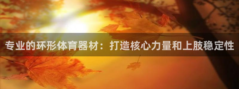 新城平台地址：专业的环形体育器材：打造核心力量和上肢