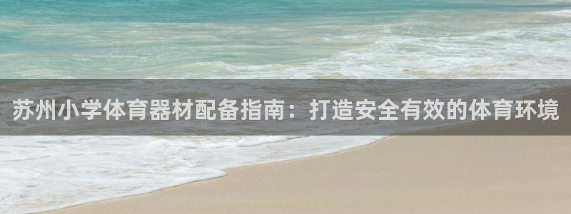 新城天下：苏州小学体育器材配备指南：打造安全有效的体