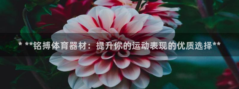 新城娱乐出款快吗是真的吗：* **铭搏体育器材：提升